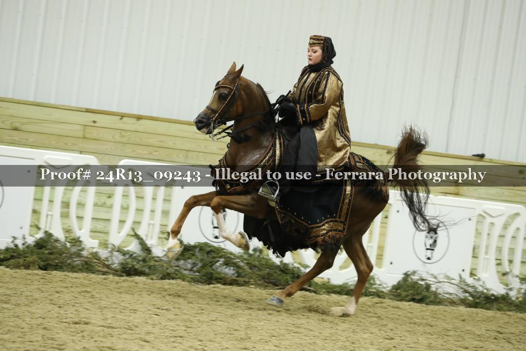 Proof Number 24R13_09243