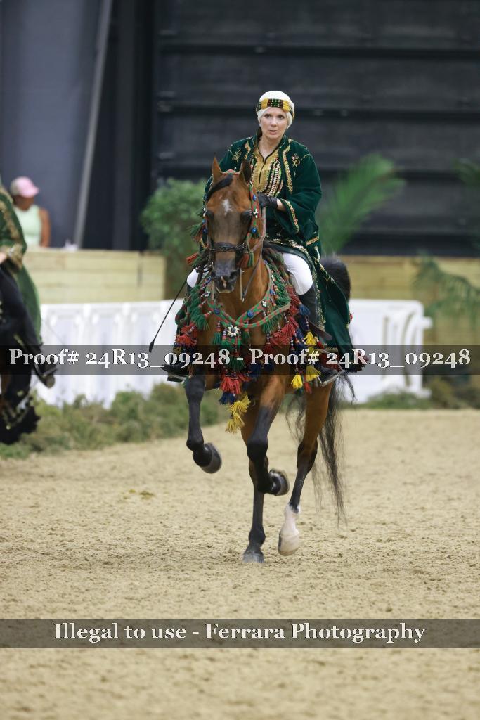 Proof Number 24R13_09248
