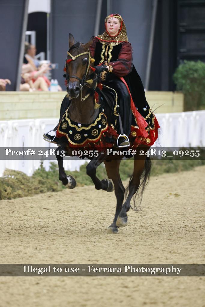 Proof Number 24R13_09255