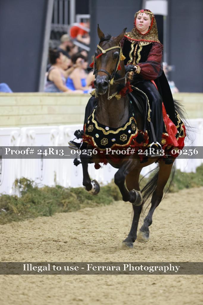 Proof Number 24R13_09256