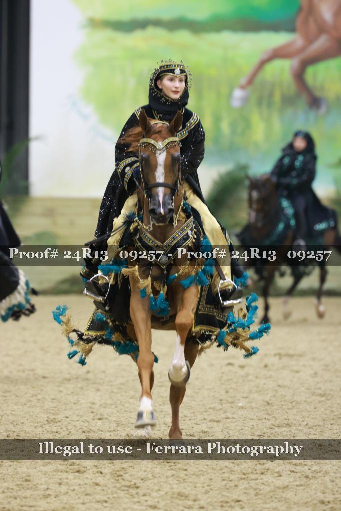 Proof Number 24R13_09257