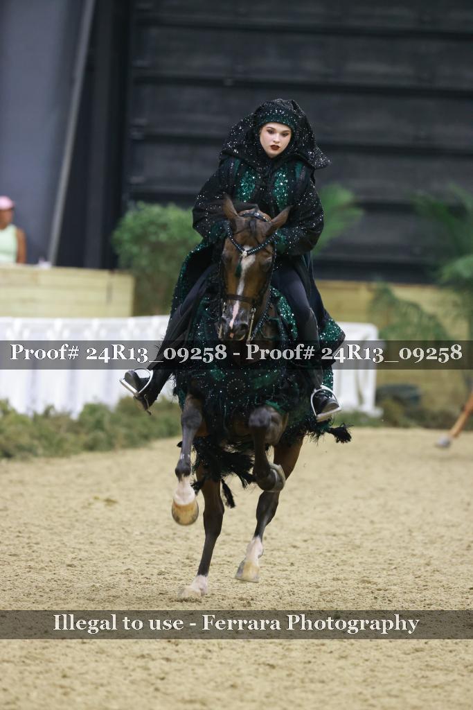 Proof Number 24R13_09258