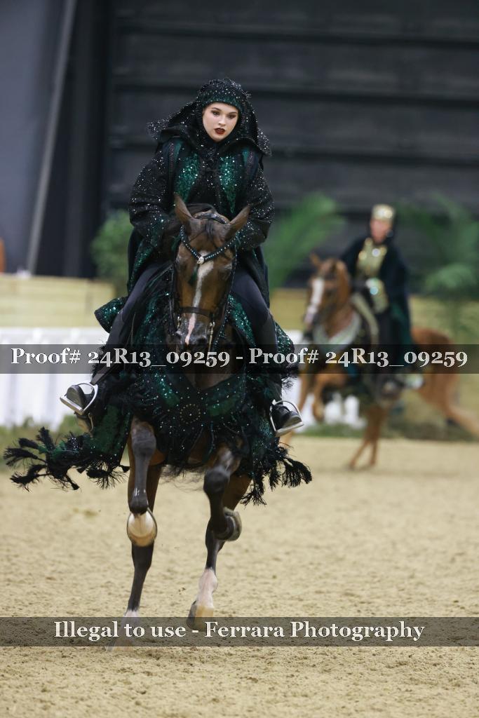 Proof Number 24R13_09259