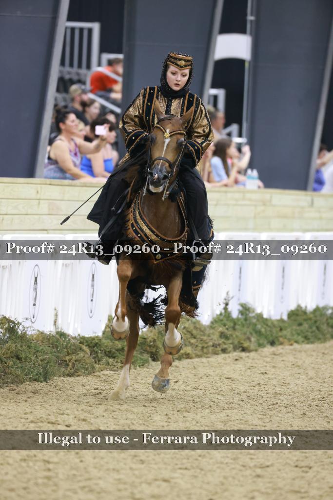 Proof Number 24R13_09260