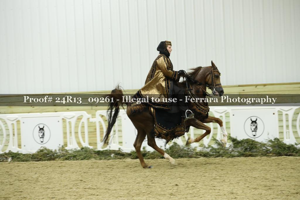 Proof Number 24R13_09261