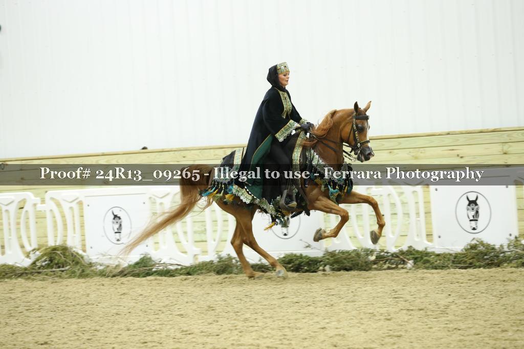 Proof Number 24R13_09265