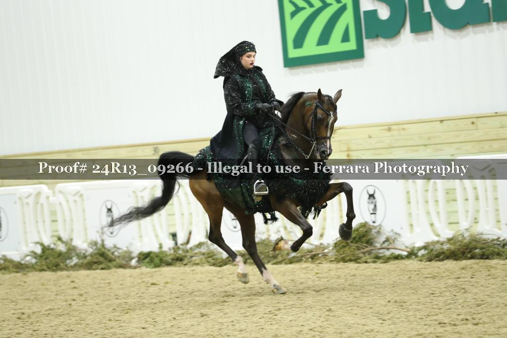 Proof Number 24R13_09266