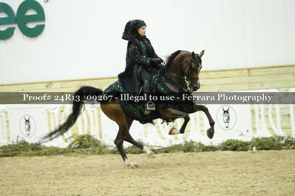 Proof Number 24R13_09267