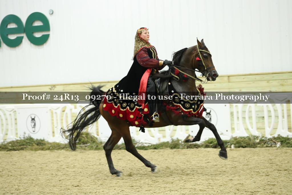 Proof Number 24R13_09270