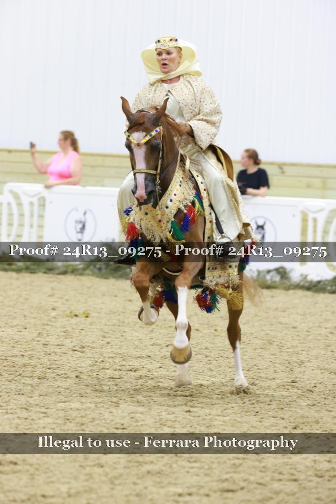 Proof Number 24R13_09275