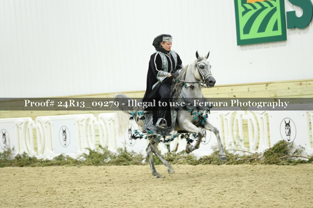 Proof Number 24R13_09279