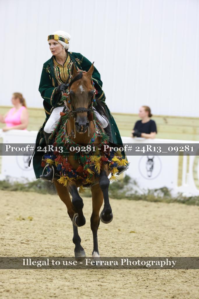 Proof Number 24R13_09281