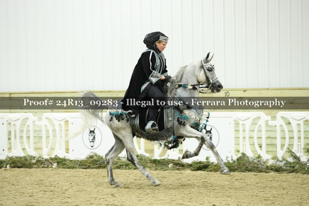 Proof Number 24R13_09283