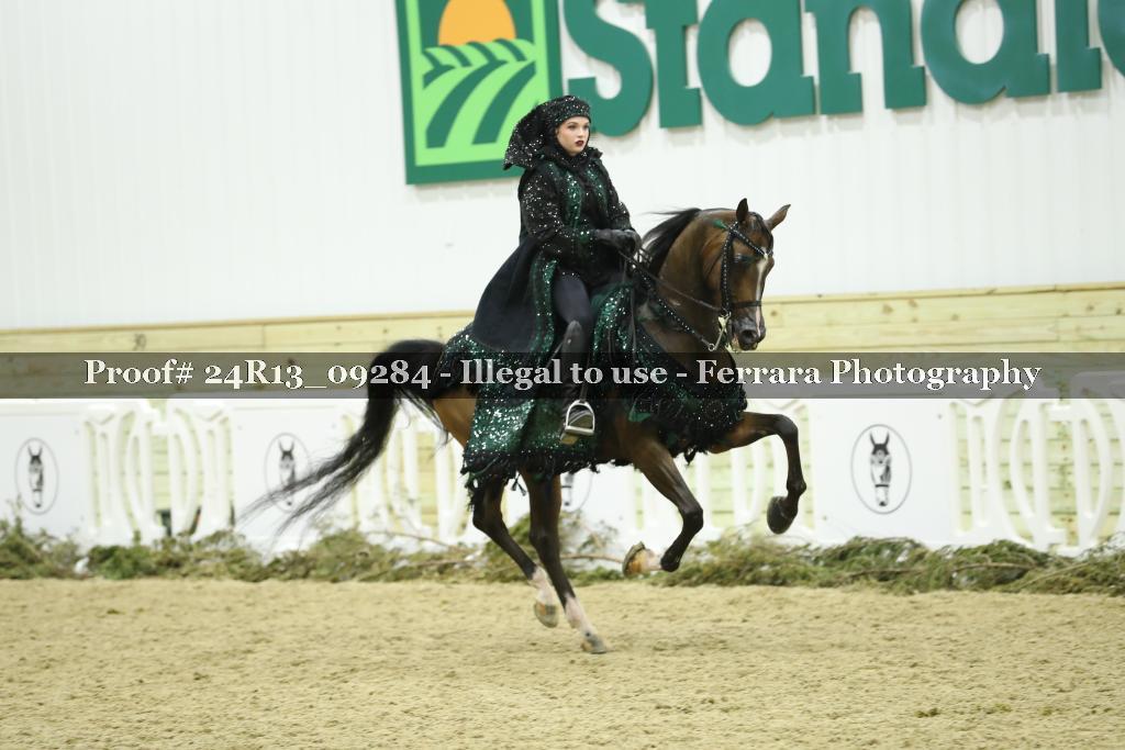 Proof Number 24R13_09284