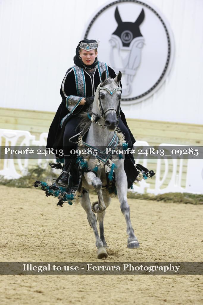 Proof Number 24R13_09285