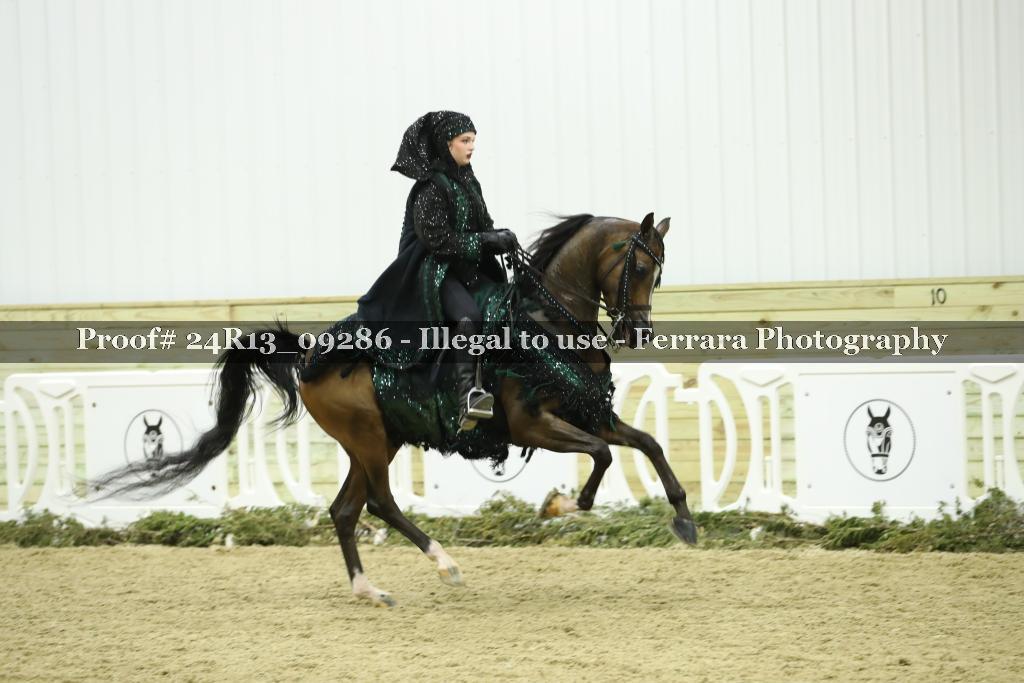 Proof Number 24R13_09286