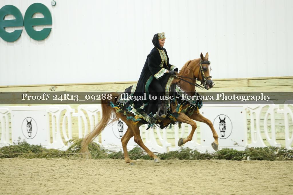 Proof Number 24R13_09288