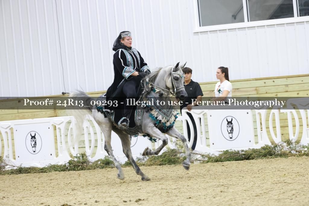 Proof Number 24R13_09293
