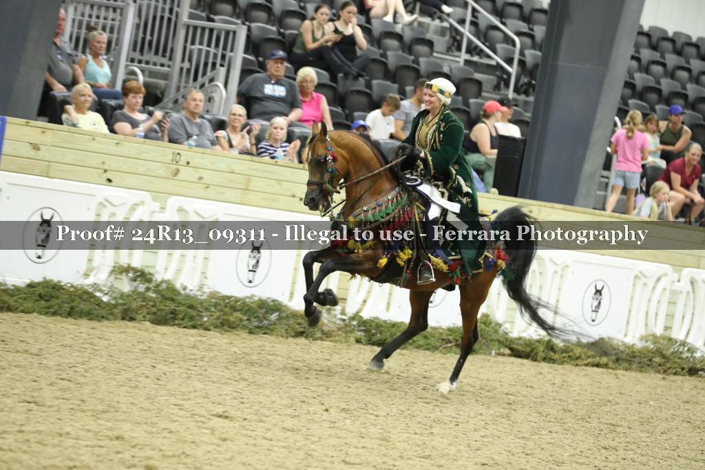 Proof Number 24R13_09311