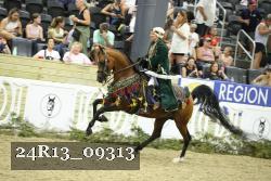 24R13_09313 thumbnail