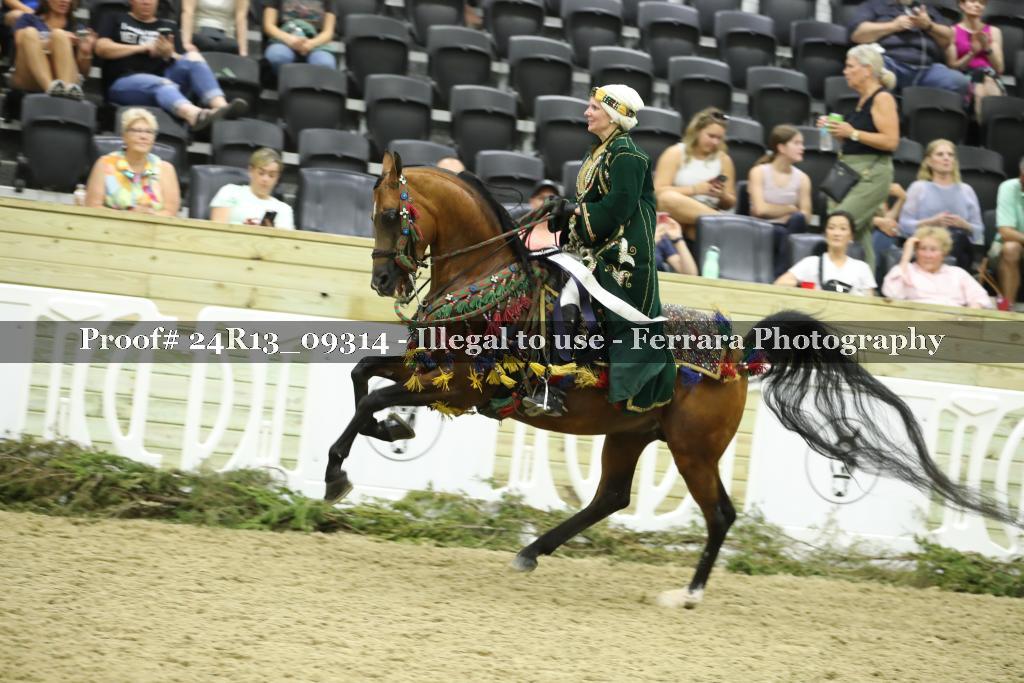 Proof Number 24R13_09314