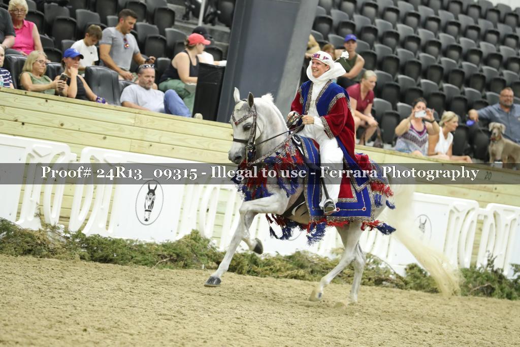 Proof Number 24R13_09315