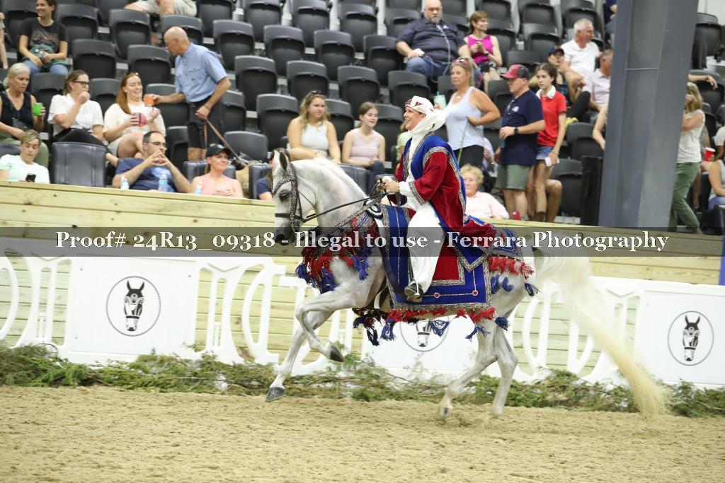 Proof Number 24R13_09318