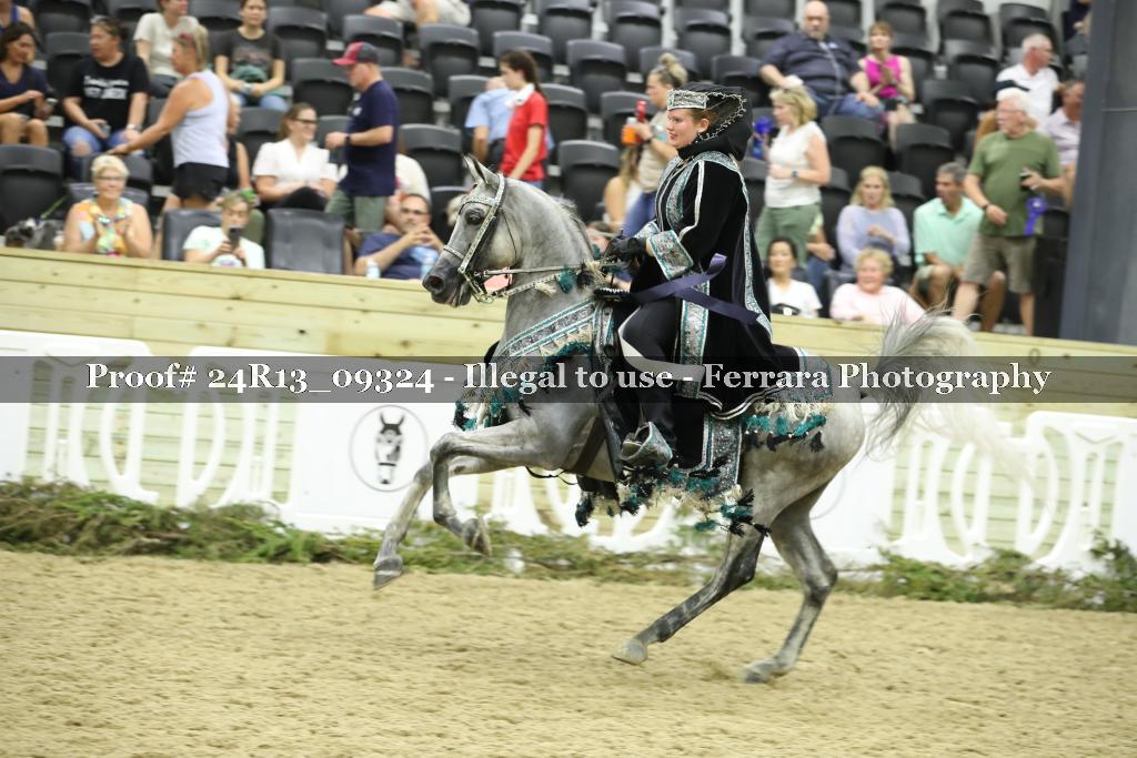 Proof Number 24R13_09324