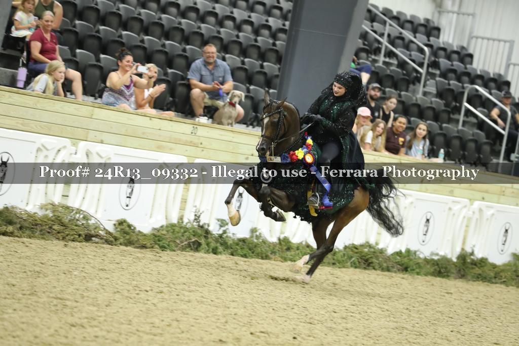 Proof Number 24R13_09332
