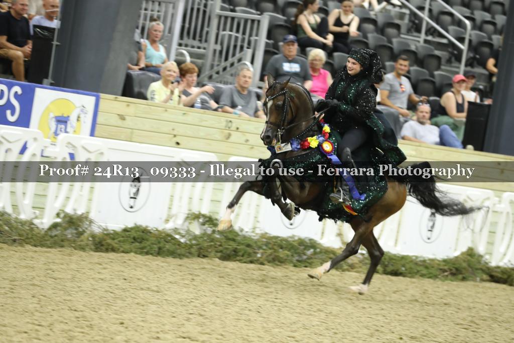 Proof Number 24R13_09333