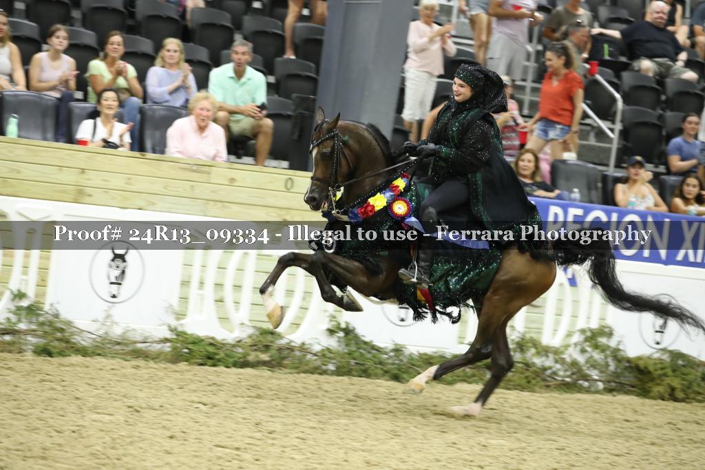 Proof Number 24R13_09334