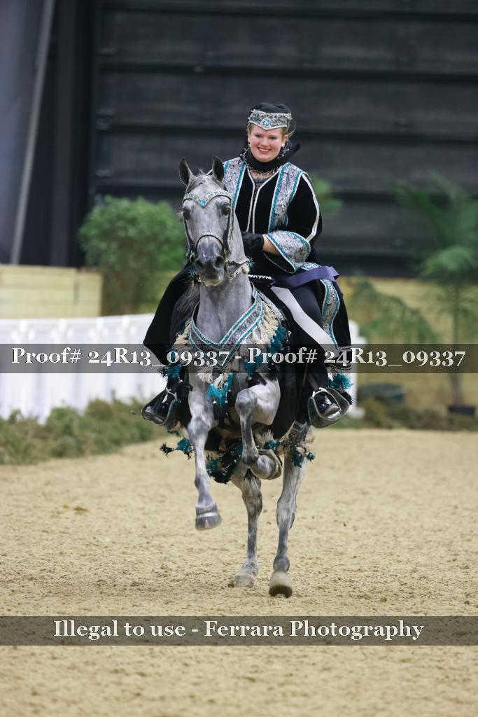 Proof Number 24R13_09337