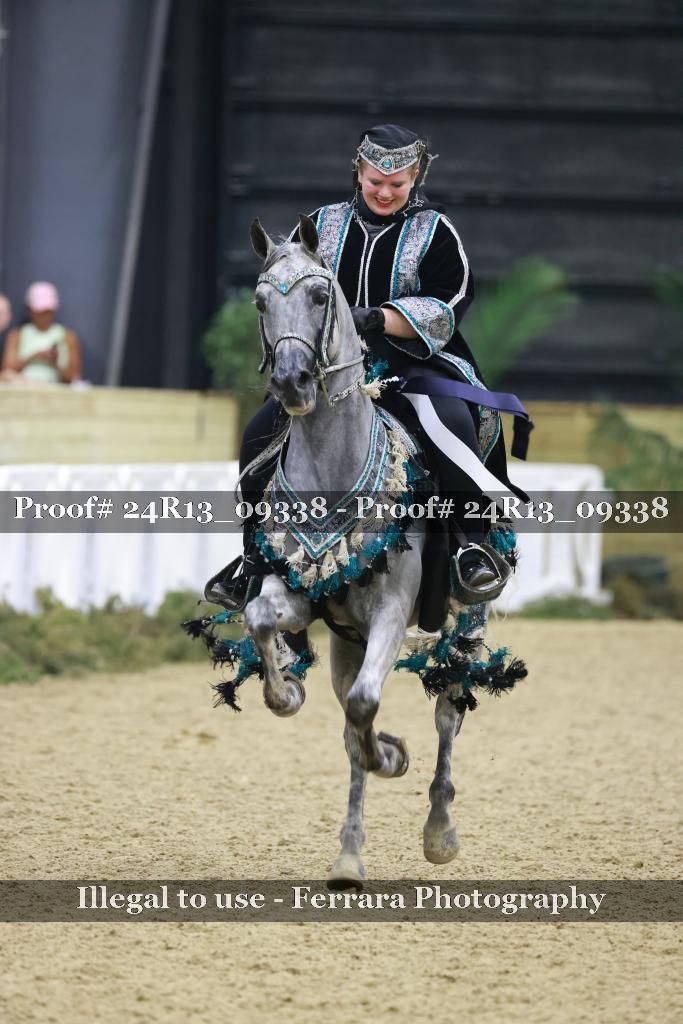 Proof Number 24R13_09338