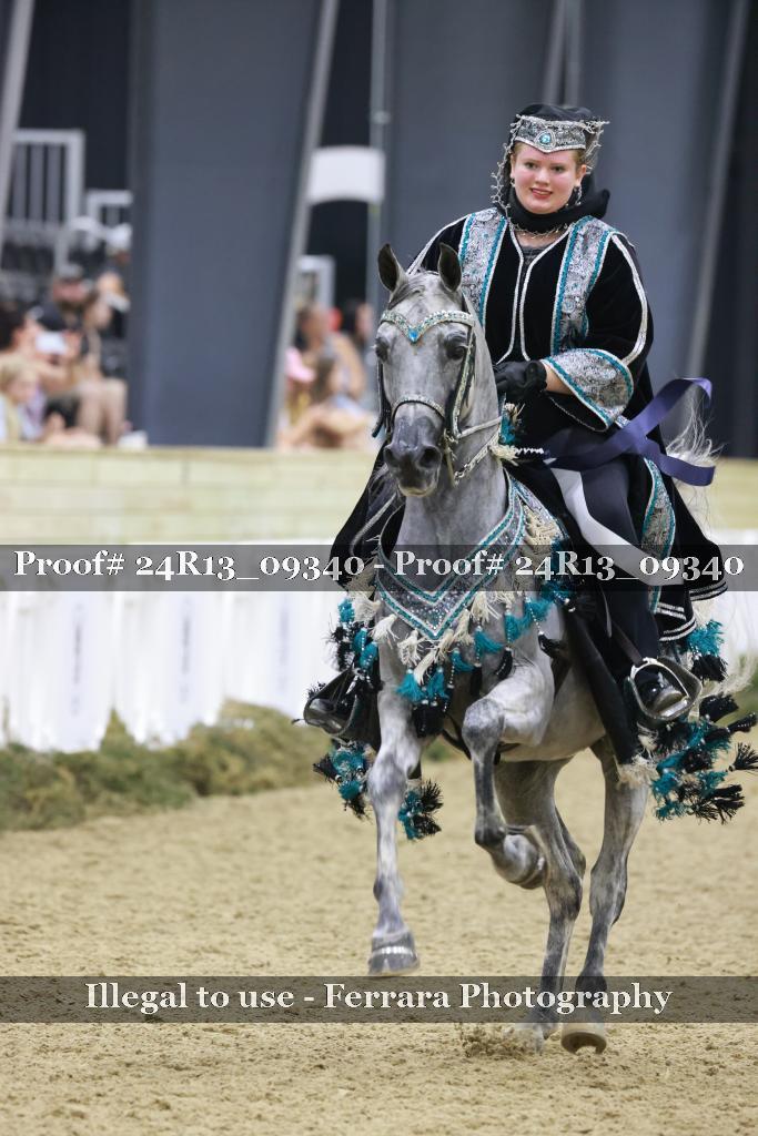 Proof Number 24R13_09340