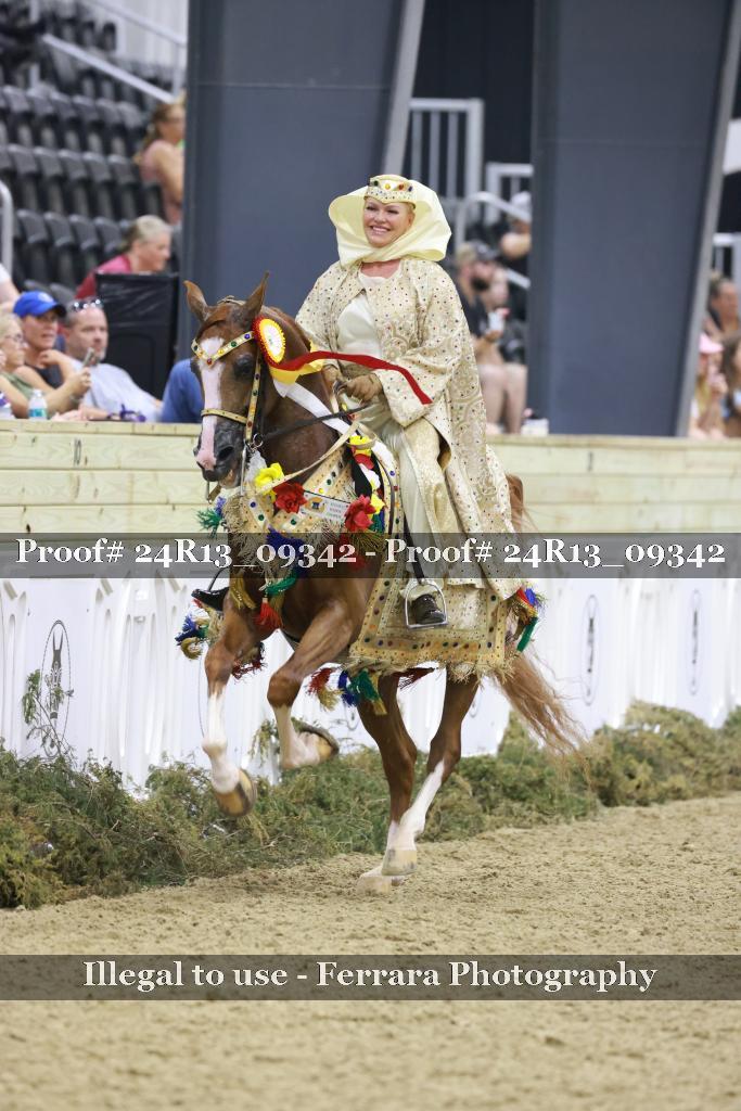 Proof Number 24R13_09342