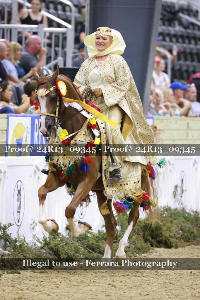 Proof Number 24R13_09345