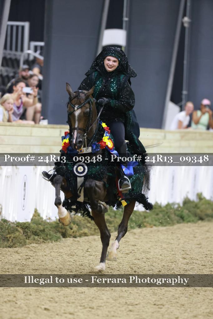 Proof Number 24R13_09348