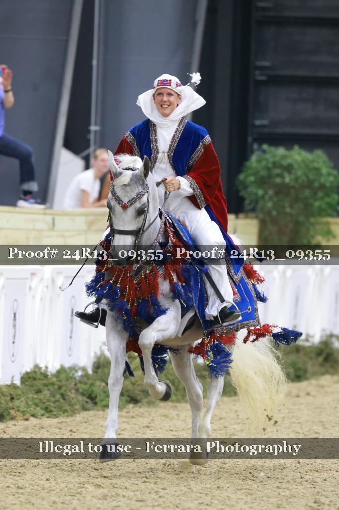 Proof Number 24R13_09355