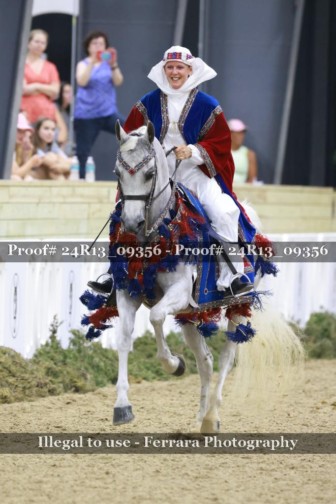 Proof Number 24R13_09356