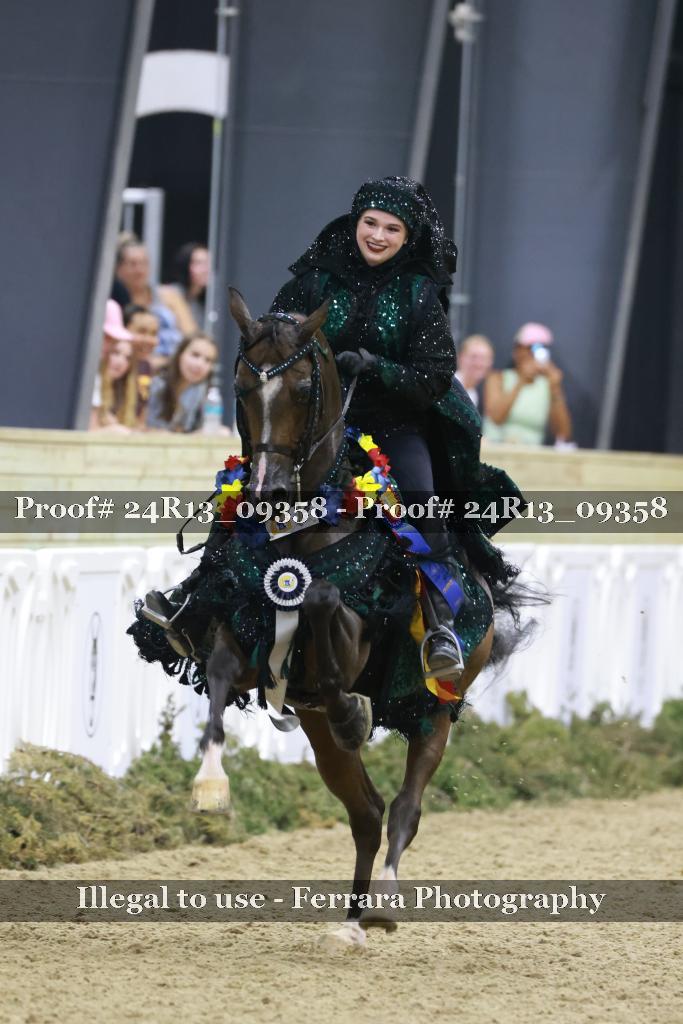 Proof Number 24R13_09358