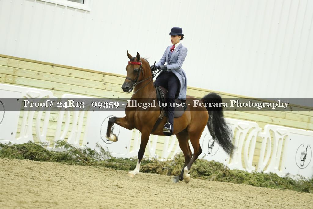 Proof Number 24R13_09359