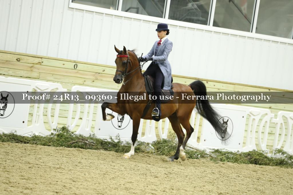 Proof Number 24R13_09360