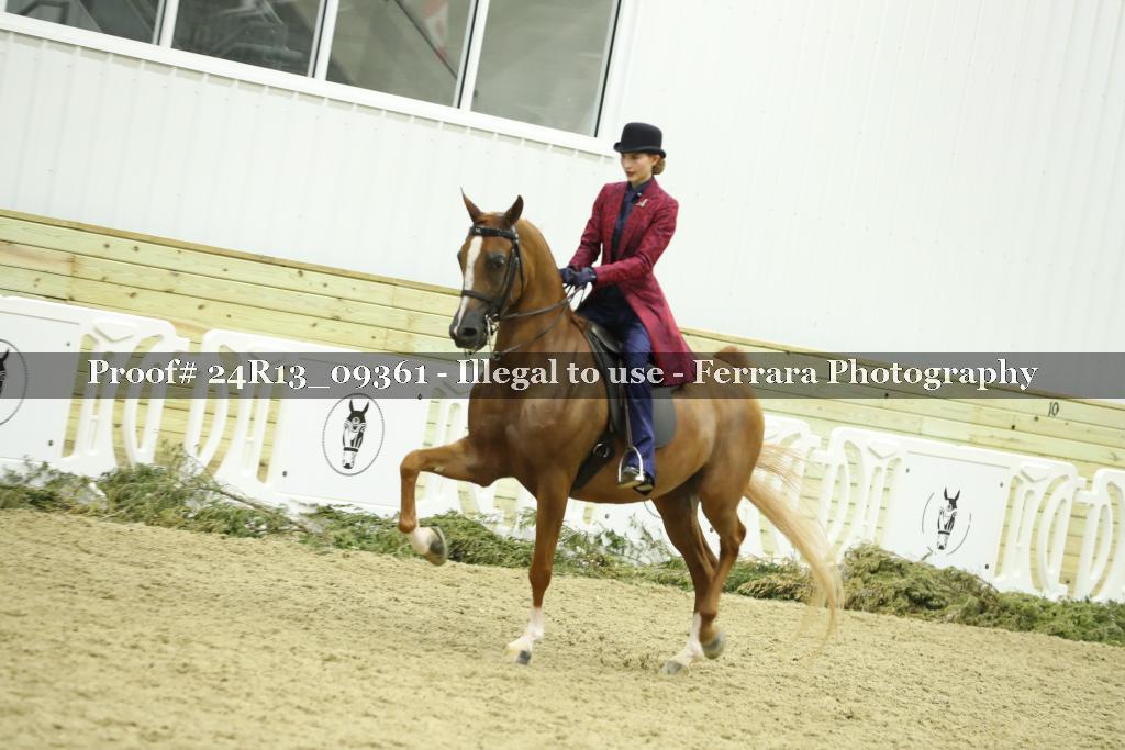 Proof Number 24R13_09361