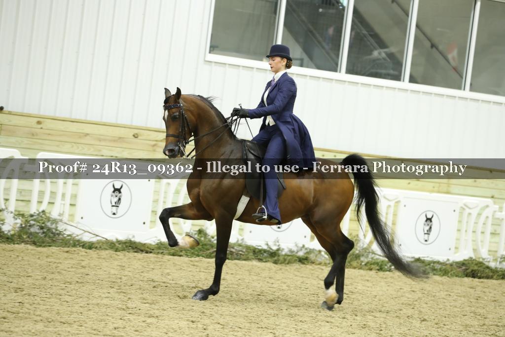 Proof Number 24R13_09362
