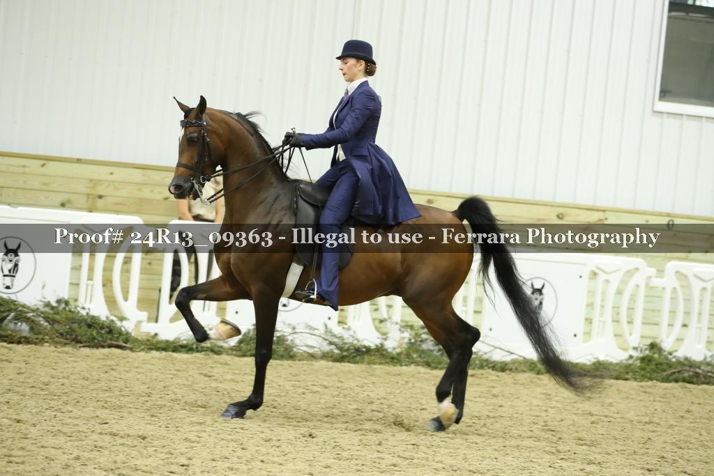 Proof Number 24R13_09363