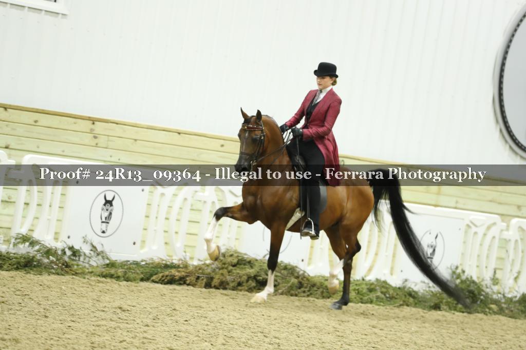 Proof Number 24R13_09364