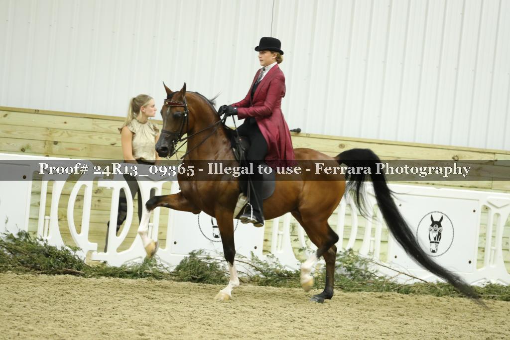 Proof Number 24R13_09365