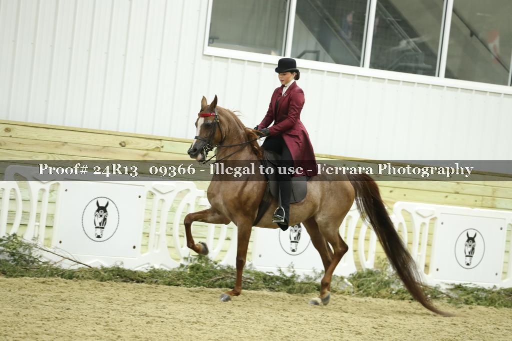 Proof Number 24R13_09366