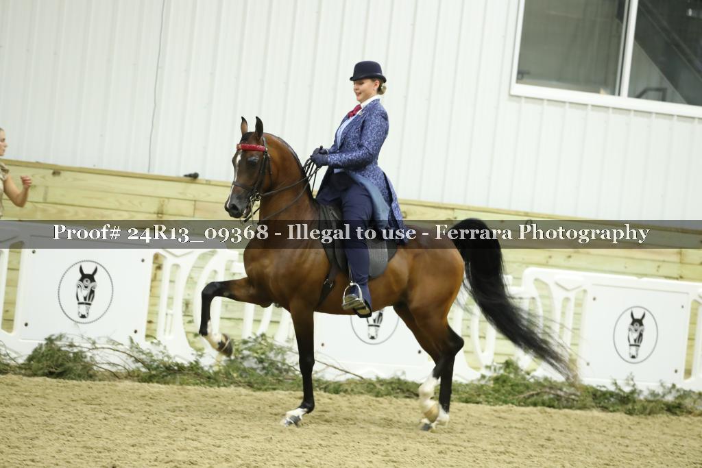 Proof Number 24R13_09368