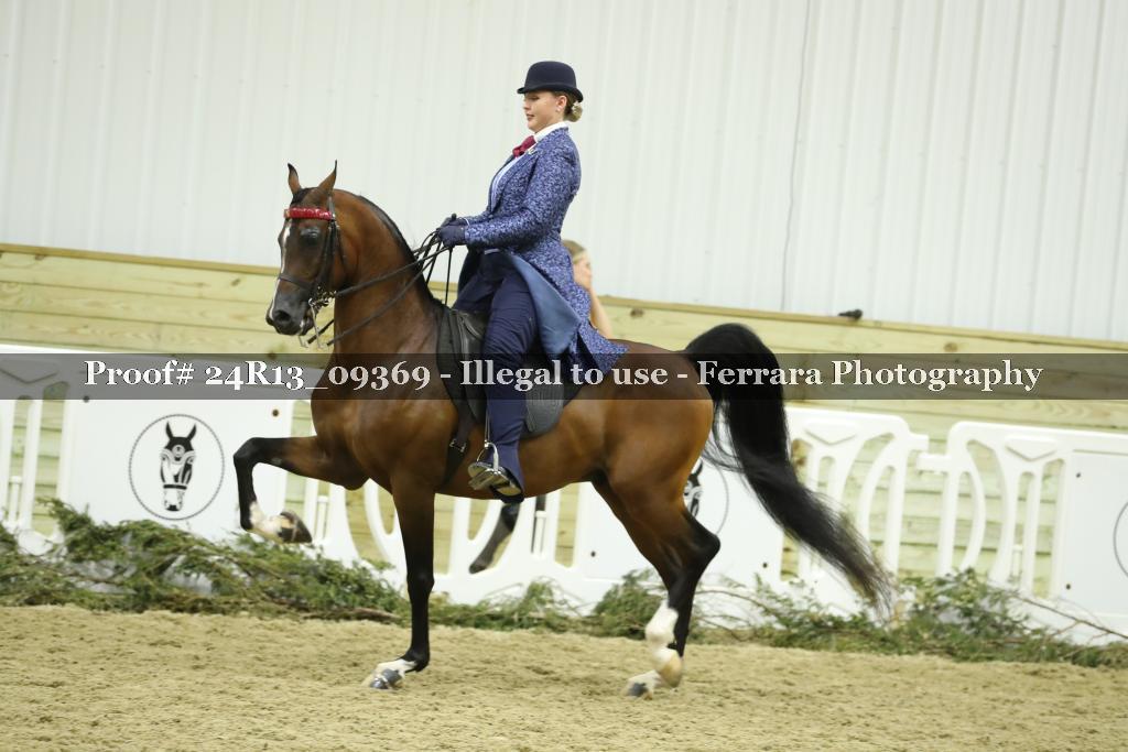 Proof Number 24R13_09369